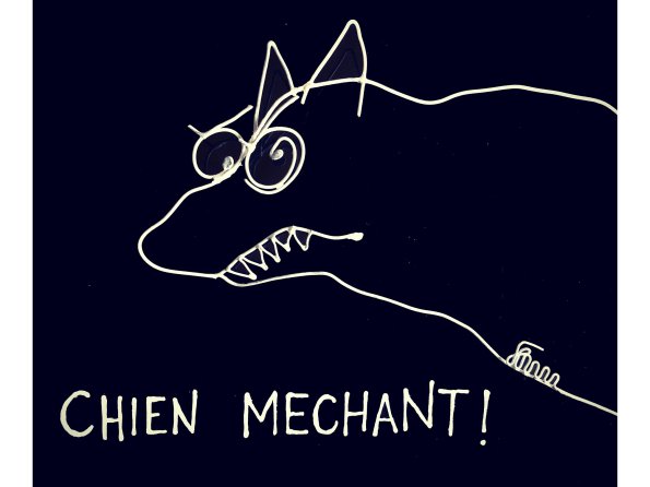 flum_11_chien-mechant